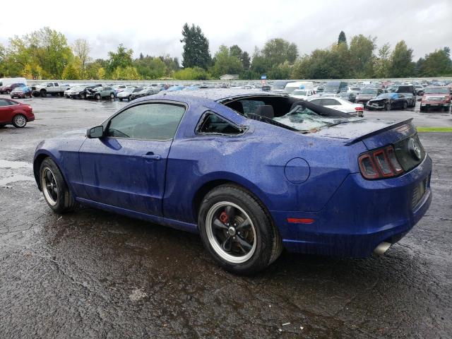 1ZVBP8AM5D5255530 - 2013 FORD MUSTANG BLUE photo 2