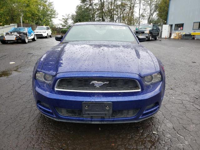 1ZVBP8AM5D5255530 - 2013 FORD MUSTANG BLUE photo 5