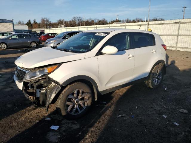 KNDPB3AC4E7578376 - 2014 KIA SPORTAGE BASE WHITE photo 1