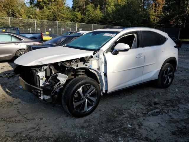 JTJBARBZ8J2160040 - 2018 LEXUS NX 300 BASE 白色 照片 1