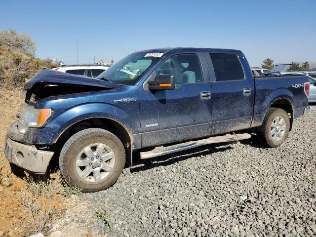 1FTFW1ETXEFC82282 - 2014 FORD F150 SUPERCREW BLUE photo 1