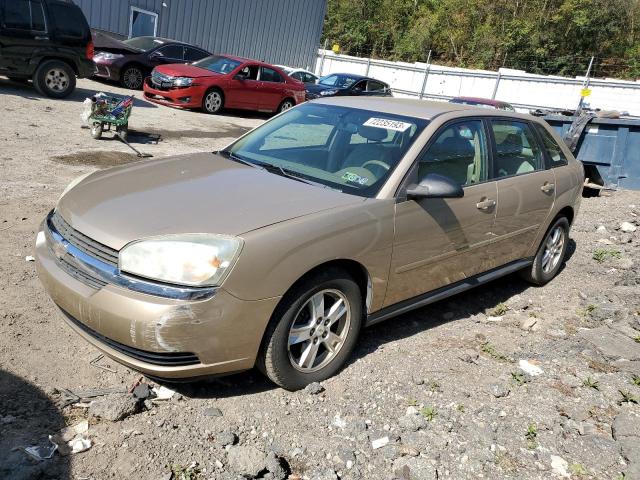 1G1ZT62835F218824 - 2005 CHEVROLET MALIBU MAXX LS 金色 照片 1