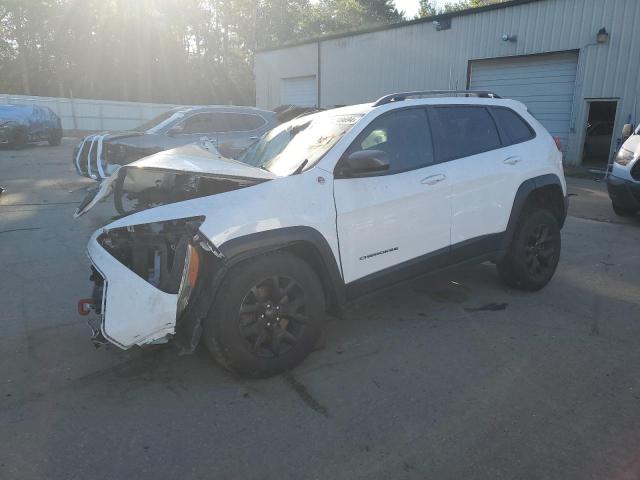 1C4PJMBS9HW655624 - 2017 JEEP CHEROKEE TRAILHAWK 白色 照片 1