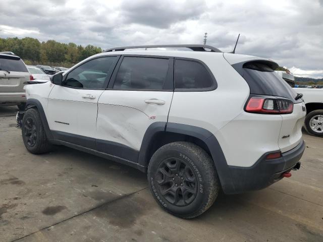 1C4PJMBXXKD237586 - 2019 JEEP CHEROKEE TRAILHAWK WHITE photo 2