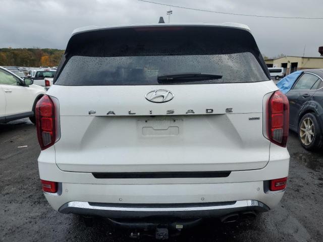 KM8R5DHE7LU098873 - 2020 HYUNDAI PALISADE LIMITED WHITE photo 6