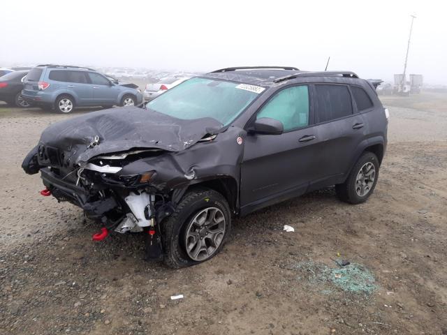 1C4PJMBX7LD647246 - 2020 JEEP CHEROKEE TRAILHAWK GRAY photo 1