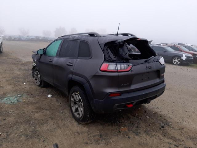 1C4PJMBX7LD647246 - 2020 JEEP CHEROKEE TRAILHAWK GRAY photo 2