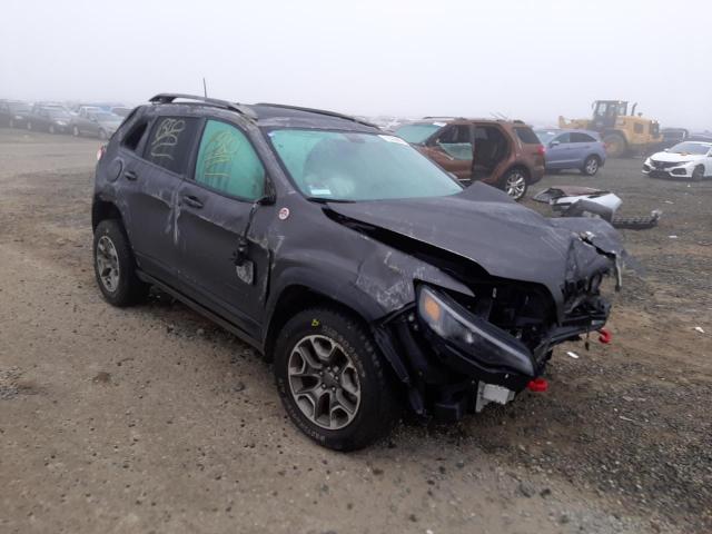 1C4PJMBX7LD647246 - 2020 JEEP CHEROKEE TRAILHAWK GRAY photo 4