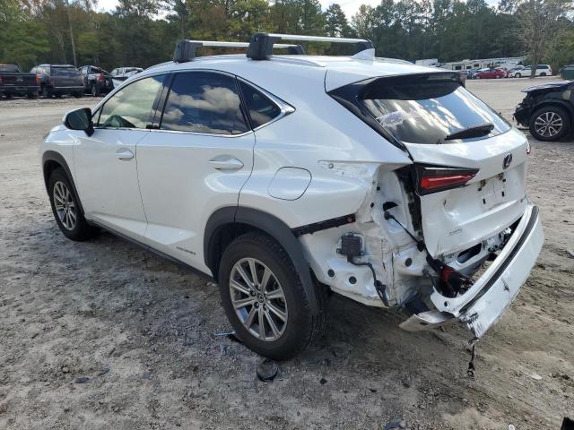 JTJDJRDZ3L5000283 - 2020 LEXUS NX 300H WHITE photo 2