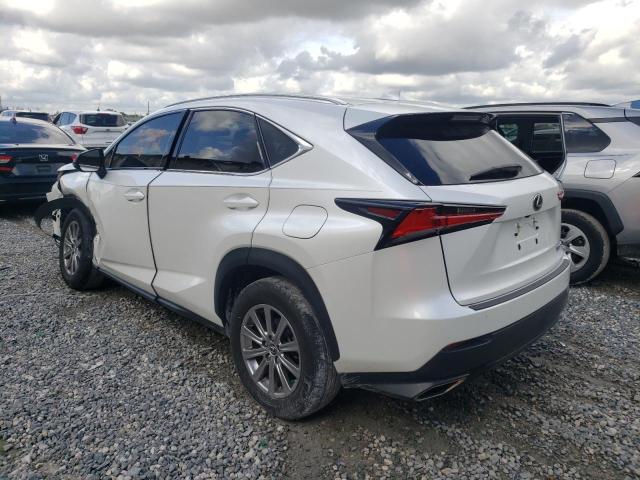 JTJYARBZ4K2150004 - 2019 LEXUS NX 300 BAS WHITE photo 2