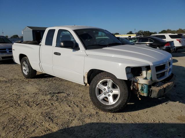 1D7RW3BK4AS221134 - 2010 DODGE DAKOTA SXT WHITE photo 4