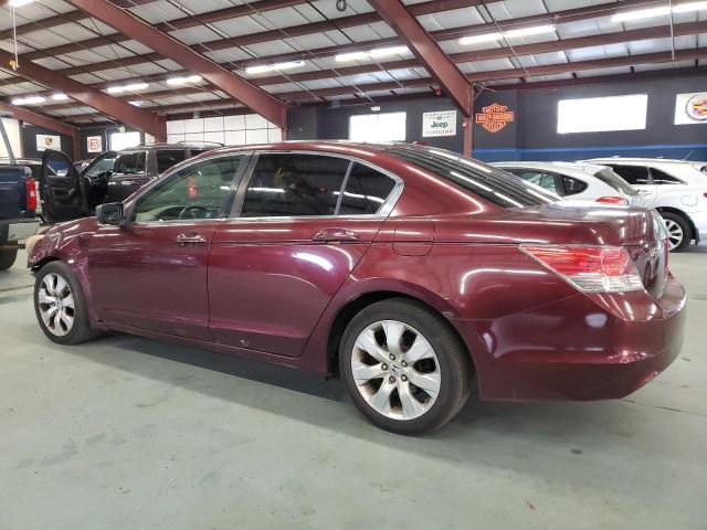 JHMCP268X9C011731 - 2009 HONDA ACCORD EXL MAROON photo 2