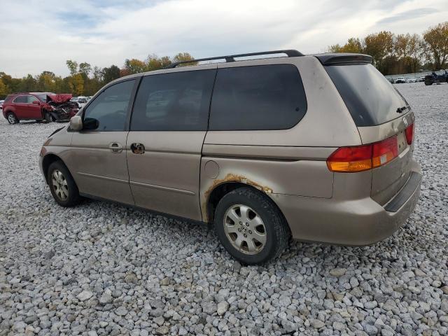 5FNRL18673B027330 - 2003 HONDA ODYSSEY EX TAN photo 2