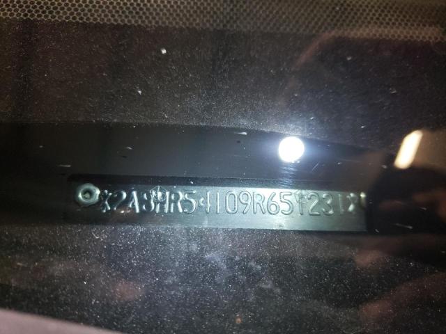 2A8HR54109R651231 - 2009 CHRYSLER TOWN & COU TOURING თაფლისფერი ფოტო 14