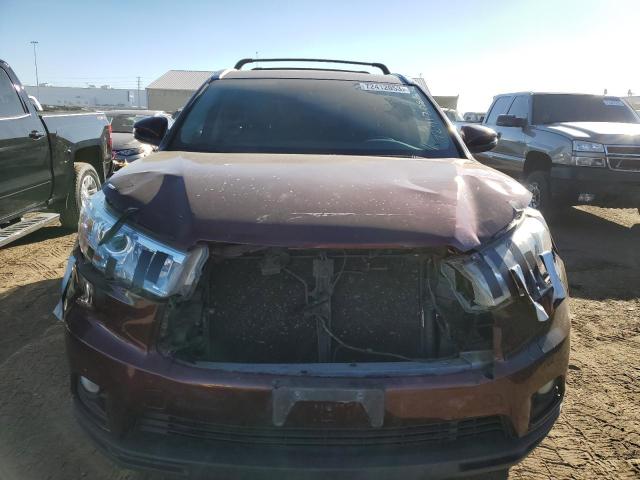 5TDJKRFH2GS265445 - 2016 TOYOTA HIGHLANDER XLE Bordo foto 5