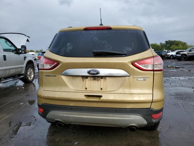 1FMCU9J96EUC76388 - 2014 FORD ESCAPE TITANIUM GOLD photo 6