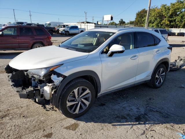 JTJGJRDZ2M5014304 - 2021 LEXUS NX 300H BASE WHITE photo 1