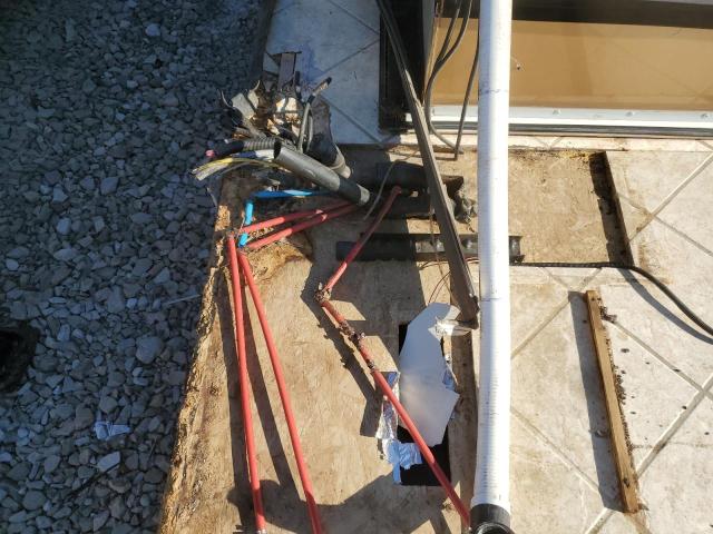 1RF42464742028040 - 2004 ROADMASTER RAIL MONOCOQUE Світло-коричневий фото 10