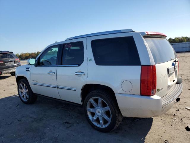 1GYS4EEJ1BR124007 - 2011 CADILLAC ESCALADE HYBRID WHITE photo 2