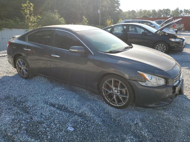 1N4AA5AP6AC833270 - 2010 NISSAN MAXIMA S GRAY photo 4