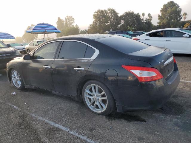 1N4AA51E59C828829 - 2009 NISSAN MAXIMA S BLACK photo 2