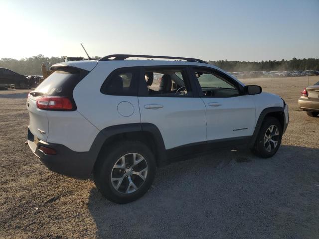 1C4PJMBS7EW291683 - 2014 JEEP CHEROKEE TRAILHAWK Ağ foto 3