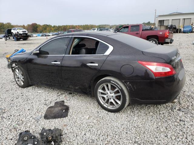 1N4AA5AP4BC818378 - 2011 NISSAN MAXIMA S BLACK photo 2