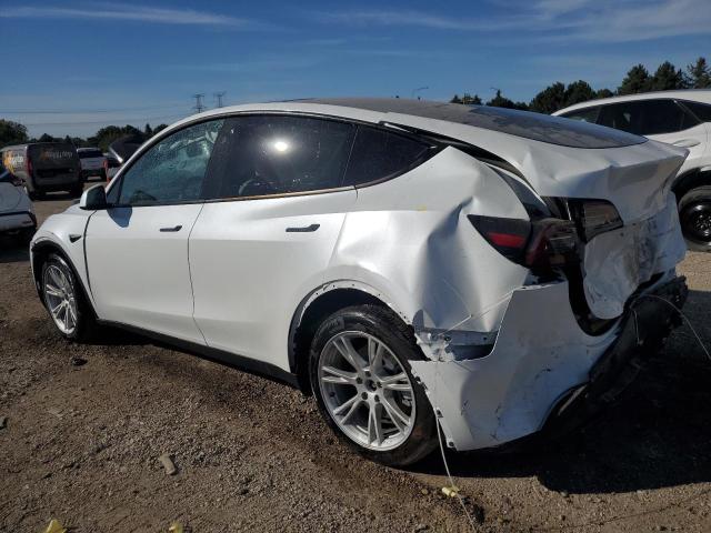 7SAYGDEEXPA145360 - 2023 TESLA MODEL Y WHITE photo 2