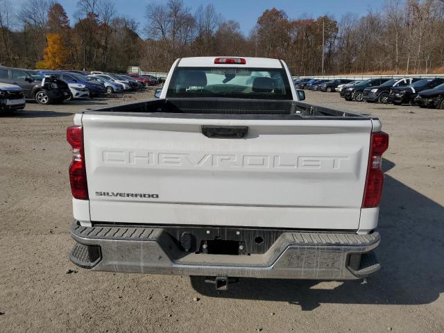 3GCNAAEDXPG302082 - 2023 CHEVROLET SILVERADO C1500 WHITE photo 6