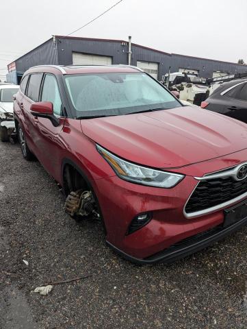 5TDGZRBH5LS522748 - 2020 TOYOTA HIGHLANDER XLE RED photo 3