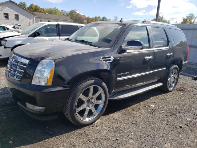 1GYS4AEF5BR303574 - 2011 CADILLAC ESCALADE BLACK photo 1