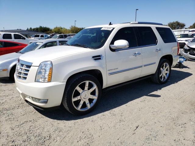 1GYS4CEF8BR137188 - 2011 CADILLAC ESCALADE PREMIUM WHITE photo 1