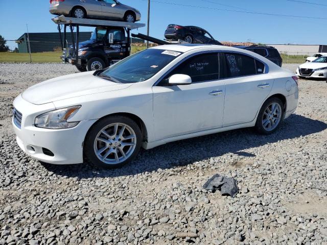 1N4AA5AP7BC831786 - 2011 NISSAN MAXIMA S WHITE photo 1