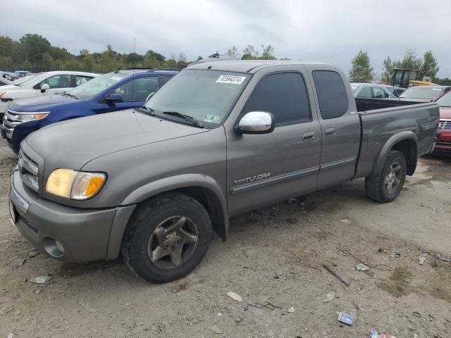 5TBBT44133S373604 - 2003 TOYOTA TUNDRA ACCESS CAB SR5 GRAY photo 1