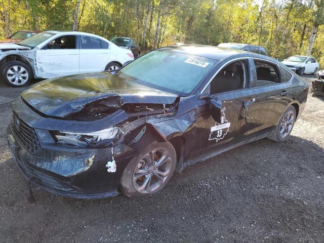 2023 HONDA ACCORD EX, 