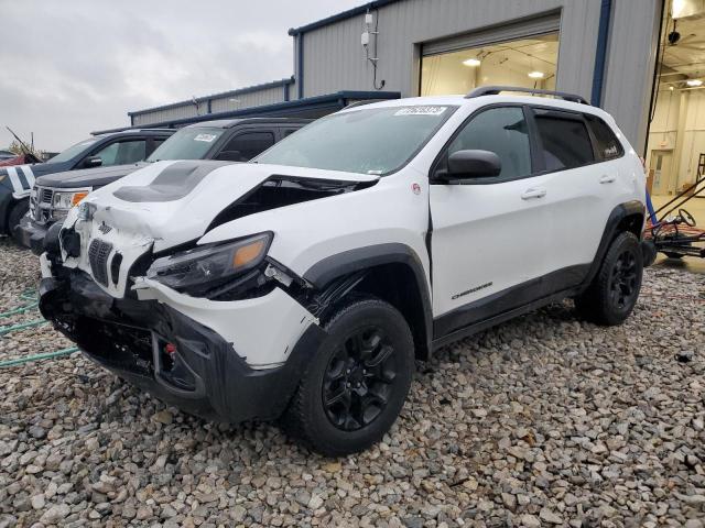 1C4PJMBX2KD389037 - 2019 JEEP CHEROKEE TRAILHAWK WHITE photo 1