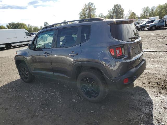 ZACNJBAB5KPK29458 - 2019 JEEP RENEGADE SPORT GRAY photo 2