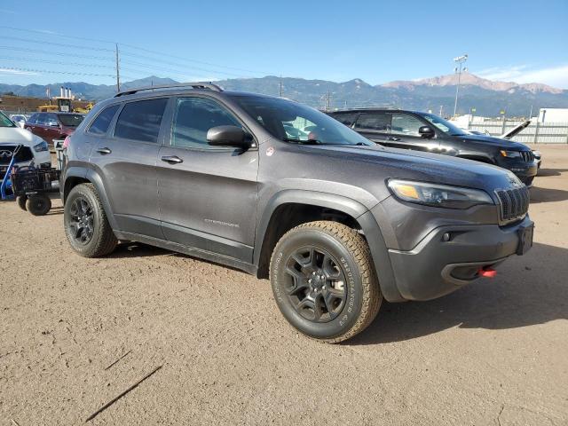 1C4PJMBN5LD549377 - 2020 JEEP CHEROKEE TRAILHAWK ნაცრისფერი ფოტო 4