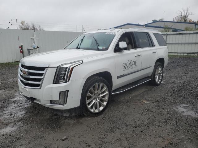 1GYS4BKJ2KR207366 - 2019 CADILLAC ESCALADE LUXURY WHITE photo 1