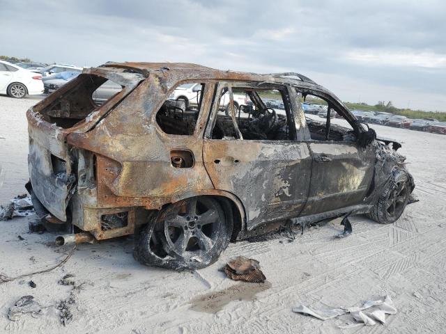 5UXFE435X9L270311 - 2009 BMW X5 XDRIVE30I BURN photo 3