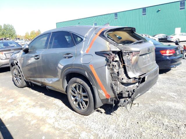 JTJBARBZ1J2164379 - 2018 LEXUS NX 300 BASE Boz foto 2