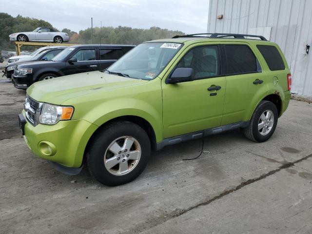 2012 FORD ESCAPE XLT, 