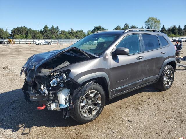 1C4PJMBX1KD207294 - 2019 JEEP CHEROKEE TRAILHAWK GRAY photo 1