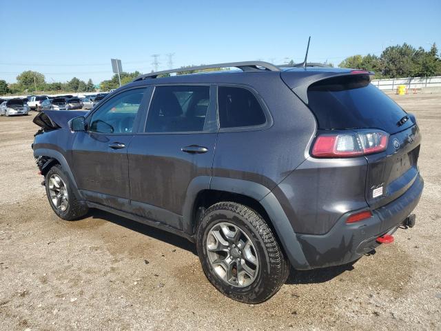 1C4PJMBX1KD207294 - 2019 JEEP CHEROKEE TRAILHAWK GRAY photo 2