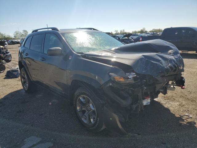 1C4PJMBX1KD207294 - 2019 JEEP CHEROKEE TRAILHAWK GRAY photo 4