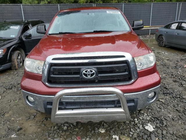 5TFUM5F14AX008856 - 2010 TOYOTA TUNDRA DOUBLE CAB SR5 BURGUNDY photo 5