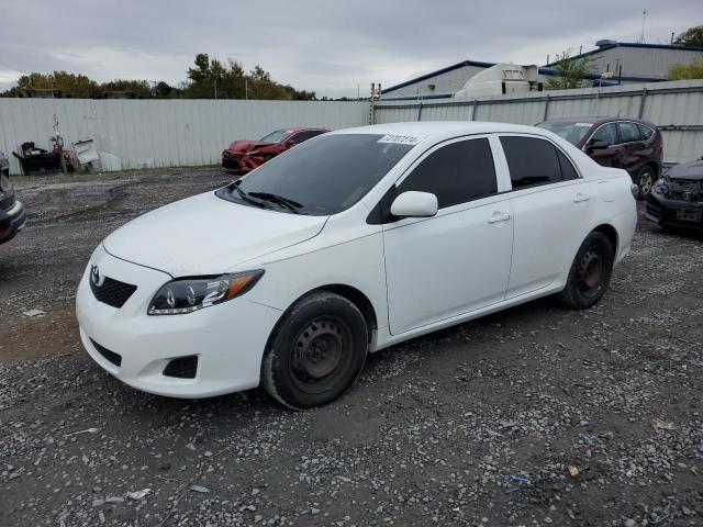 2T1BU4EE5AC325470 - 2010 TOYOTA COROLLA BASE WHITE photo 1