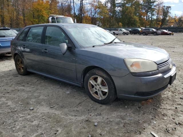 1G1ZT64855F134260 - 2005 CHEVROLET MALIBU MAXX LS 石墨色 照片 4