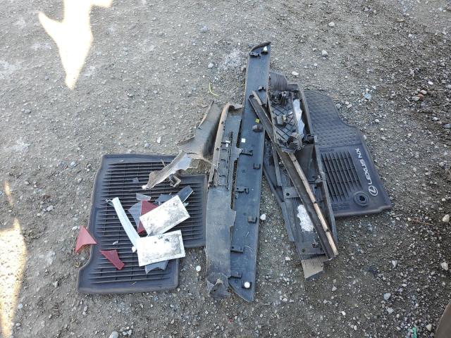 JTJBARBZ9K2209232 - 2019 LEXUS NX 300 BASE 棕色 照片 13