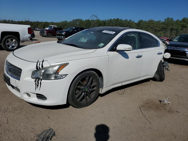 1N4AA5AP3AC848857 - 2010 NISSAN MAXIMA S WHITE photo 1